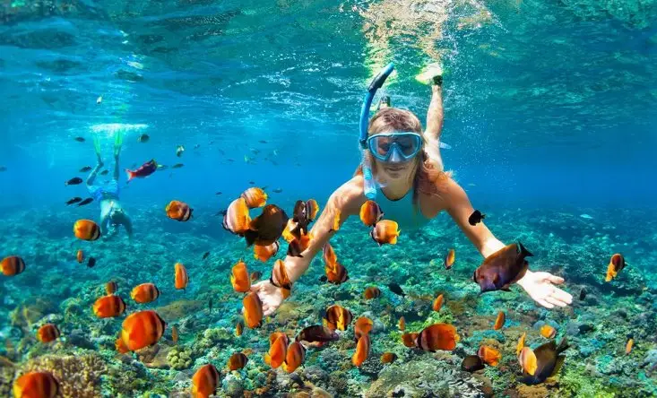 Gili Snorkeling